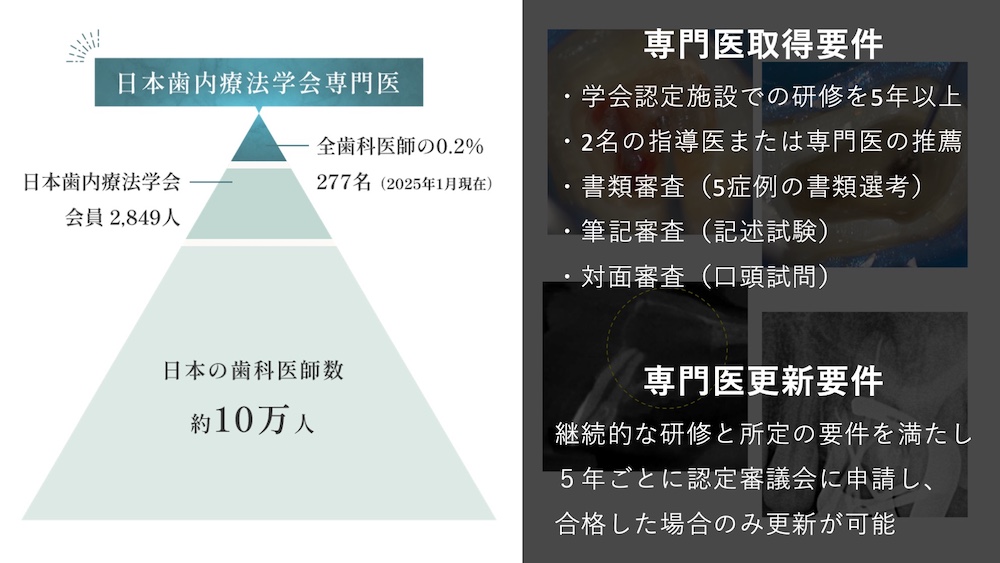 髙井歯科クリニックの根管治療について