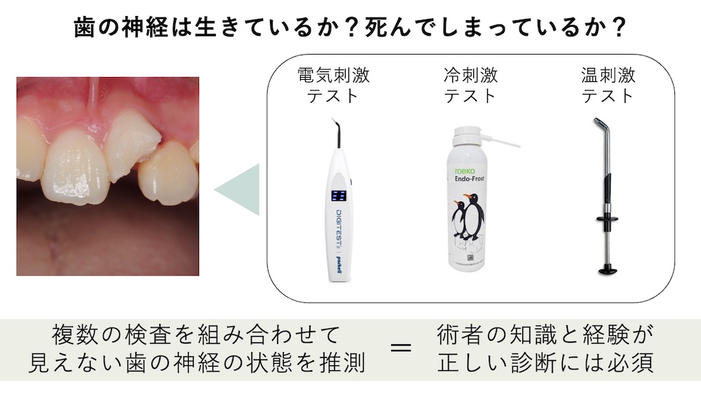 精密診断の重要性（レントゲン・CT・マイクロスコープ）