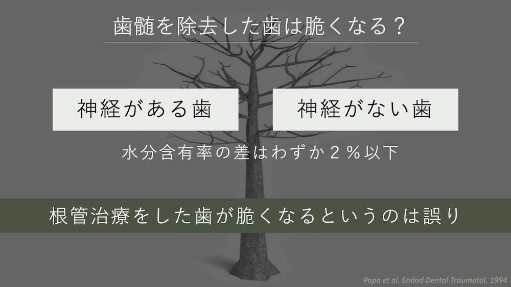 歯の神経を取るリスクや弊害|神経を取ると脆くなる?