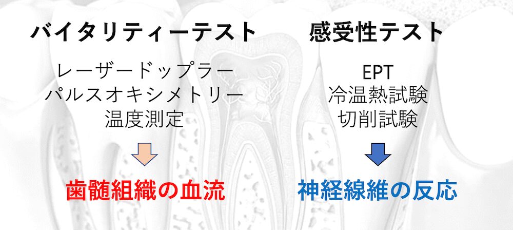 血流測定法(レーザードップラー・パルスオキシメーター・歯髄温度測定)