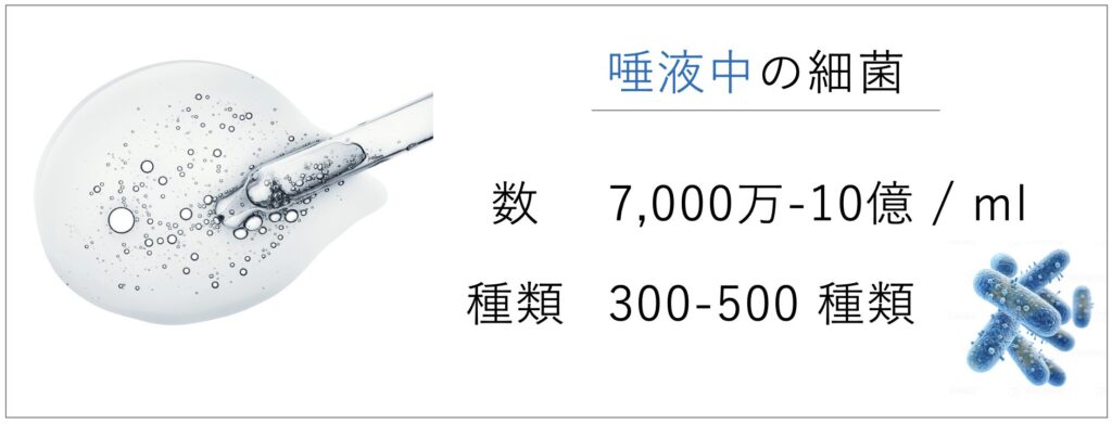 唾液中の細菌